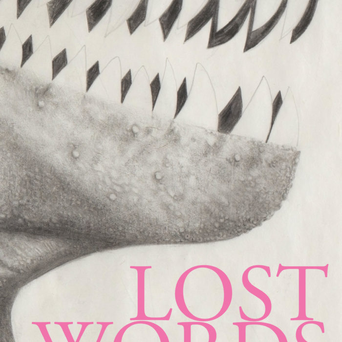 Phil Day - Xavier Hennekinne - Lost Words cover