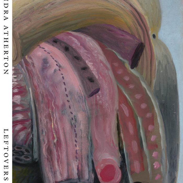 Gazebo Book Cover - Leftovers