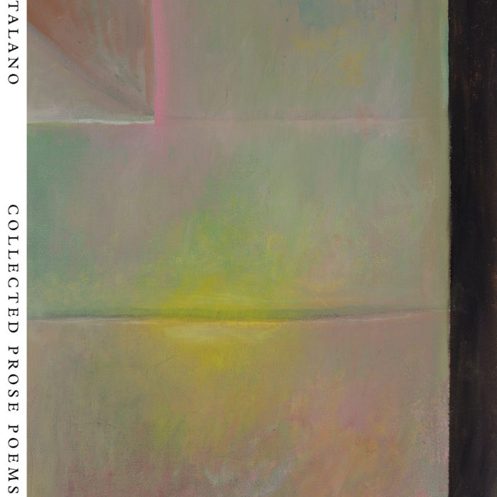 Collected Prose Poems by Gary Catalano